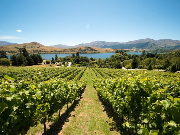 Central Otago Wine Tour From Queenstown - Includes 4 Vineyards, Lunch & Wine - Tour Details