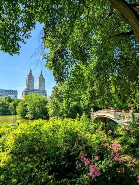 Central Park 2hr Walking Tour Led by Manhattan Residents ! - Local Knowledge