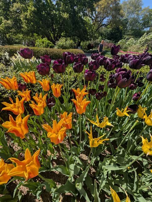 Central Park 5 Star Walking Tour led by Manhattan residents! - Final Thoughts