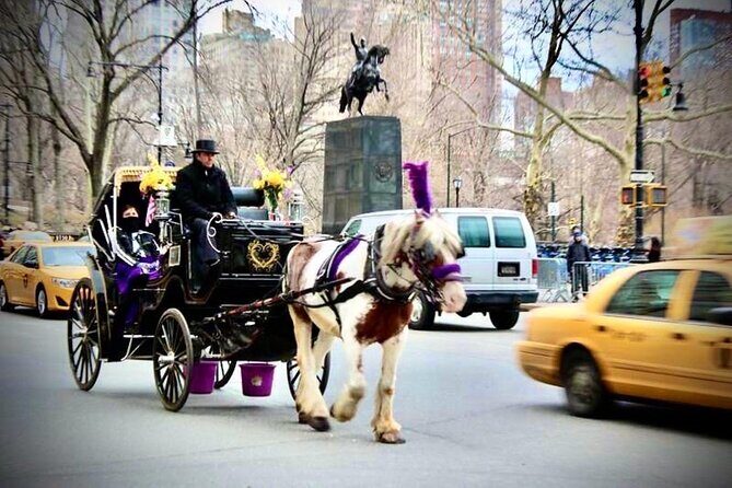 Central Park and NYC Horse Carriage Ride - Who Will Love This Tour?