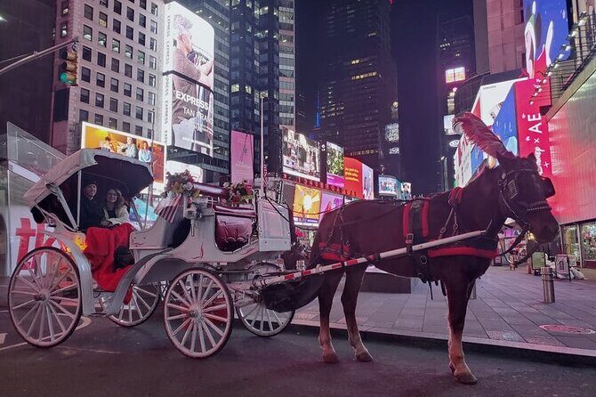 Central Park and NYC Horse Carriage Ride - The Sum Up
