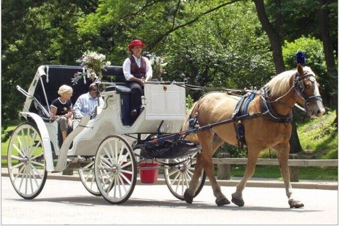 Central Park and NYC Horse Carriage Ride - FAQ