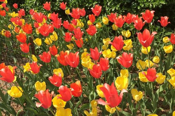 Central Park and Upper East Side Walking Tour - Meeting Point and Start Time