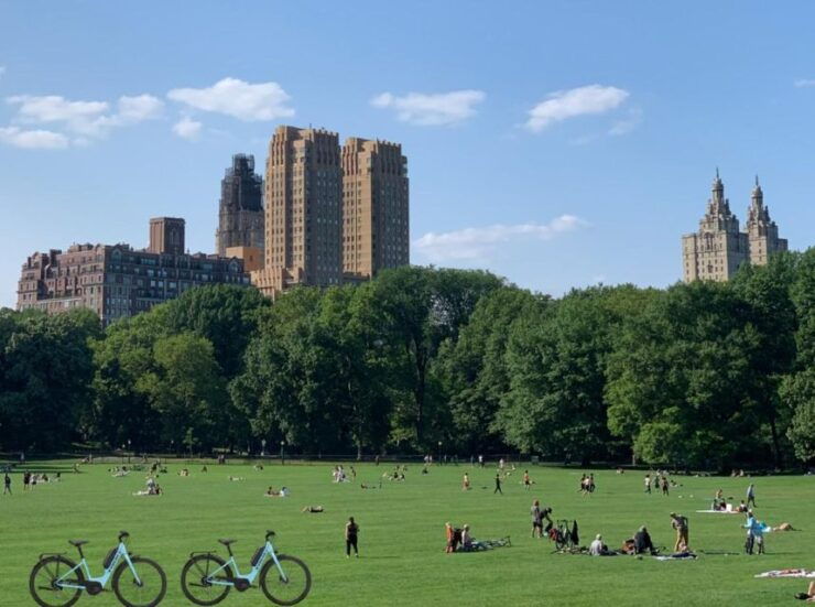 Central Park Electric Bike Rental - Electric Bike Highlights
