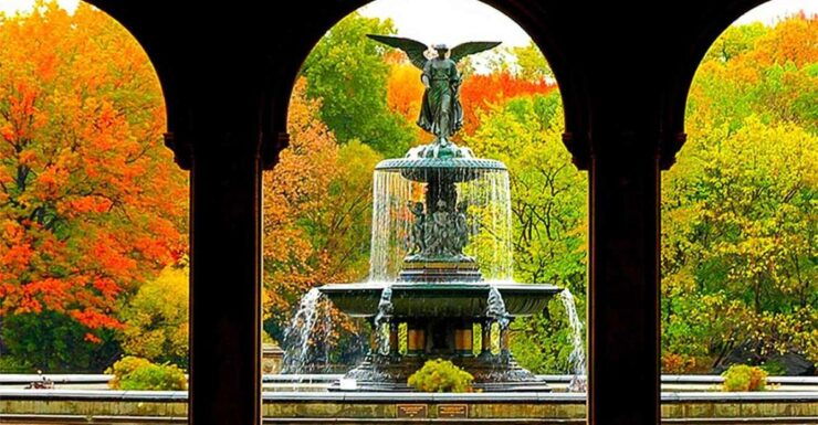 Central Park Experience: A Scenic & Historical Walking Tour - Tour Details