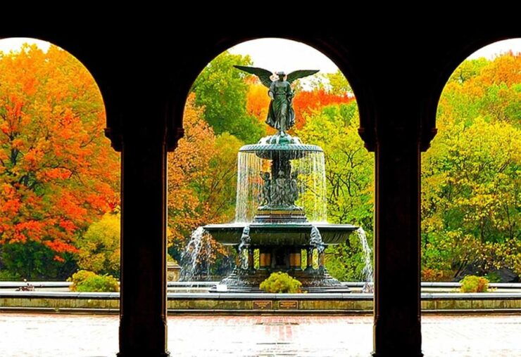 Central Park Experience: A Scenic & Historical Walking Tour - Experience Highlights