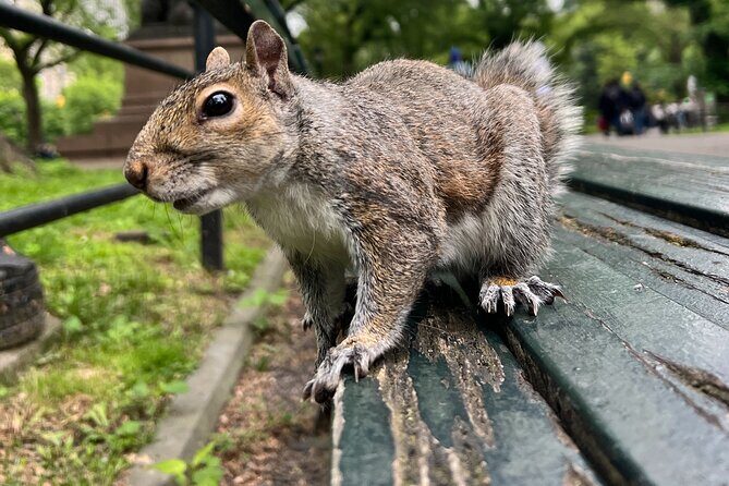 Central Park Guided Walking Tour with Iconic Sights and History - An In-Depth Look at the Central Park Guided Walking Tour