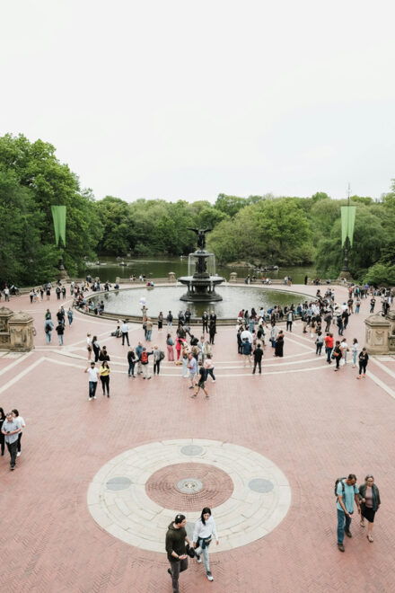 Central Park Highlights: A Scenic Walking Tour - Unique Features of Central Park