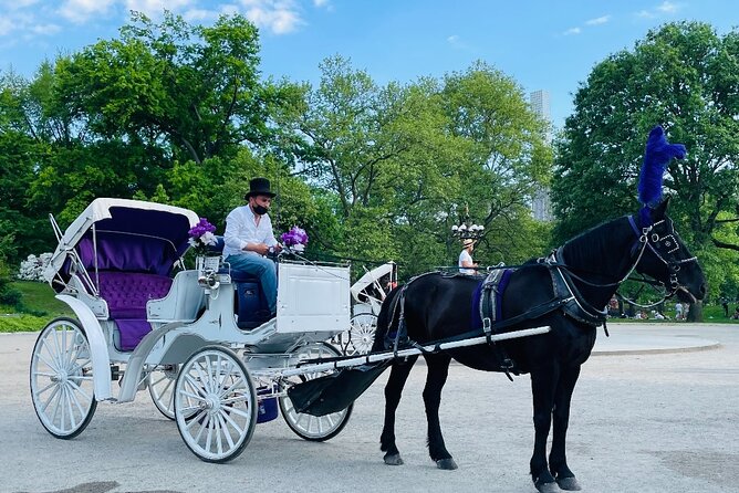 Central Park Horse and Carriage Rides - Inclusions