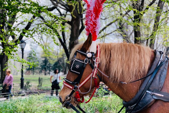 Central Park Horse and Carriage Rides - Cancellation and Refund Policy