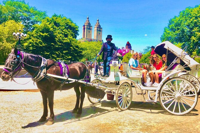 Central Park Horse and Carriage Rides - Contact With Driver