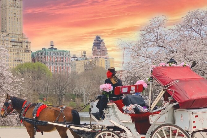 Central Park Horse and Carriage Rides - Weather-Dependent Experience