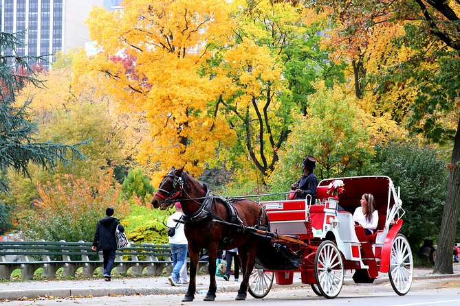 Central Park Horse Carriage Ride Short Loop (Up to 4 Adults)) - The Sum Up