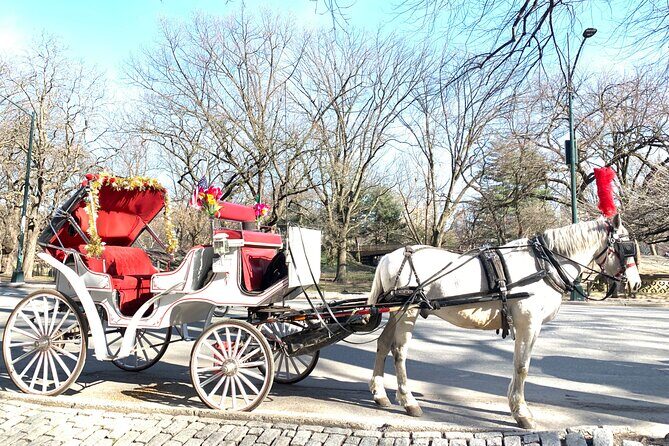Central Park Horse Carriage Rides Since 2005 - Exploring Central Park by Horse Carriage: An Authentic NYC Experience