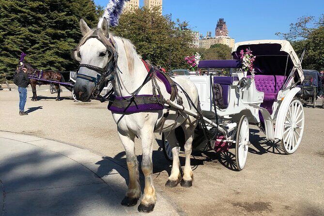 Central Park Horse Carriage Rides Since 2005 - Good To Know