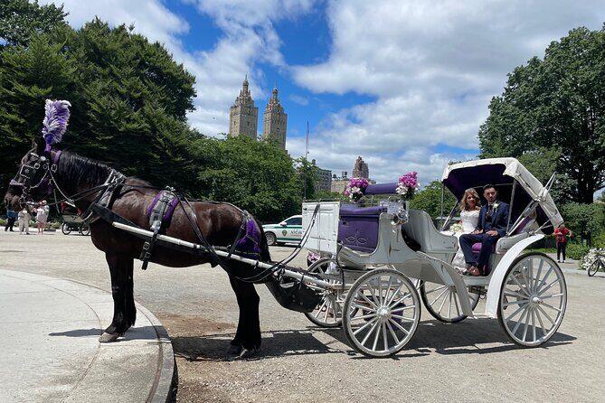 Central Park Horse Carriage Rides Since 2005 - Who Should Consider This Tour?