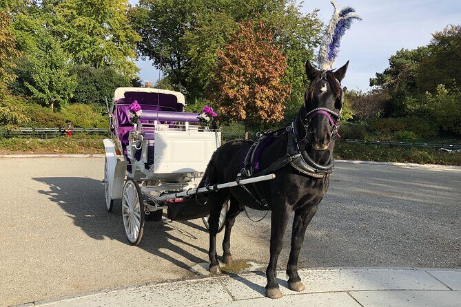 Central Park Horse Carriage Rides Since 2005 - Final Thoughts