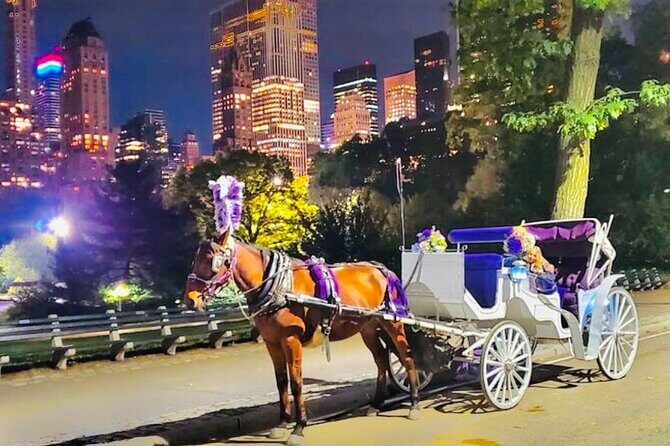 Central Park Moonlight Tour with Photo (45 min) ~ Skip the line - Tips to Maximize Your Experience