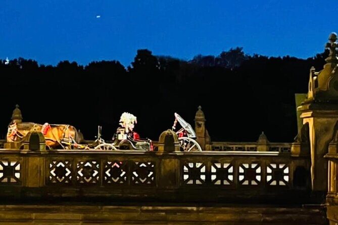 Central Park Moonlight Tour with Photo (45 min) ~ Skip the line - The Sum Up: Is This Tour Right for You?