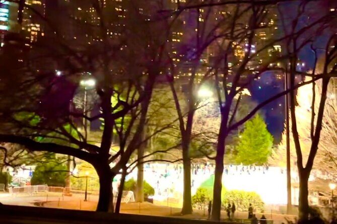Central Park Moonlight Tour with Photo (45 min) ~ Skip the line - FAQ