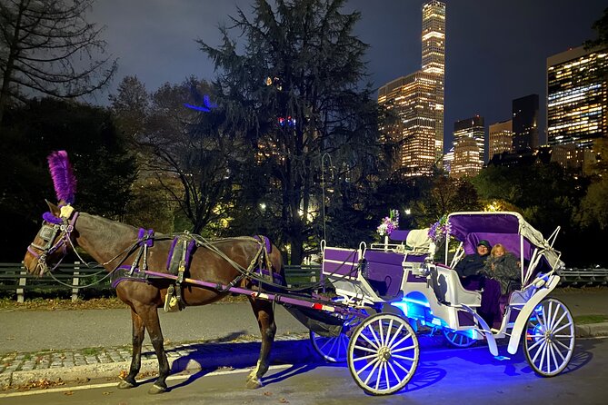Central Park Movie Tour on Horse Carriage - Romantic Ride Through Central Park