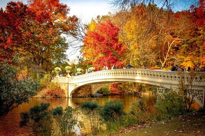Central Park Outdoor Escape Adventure - Central Park Outdoor Escape Adventure Review