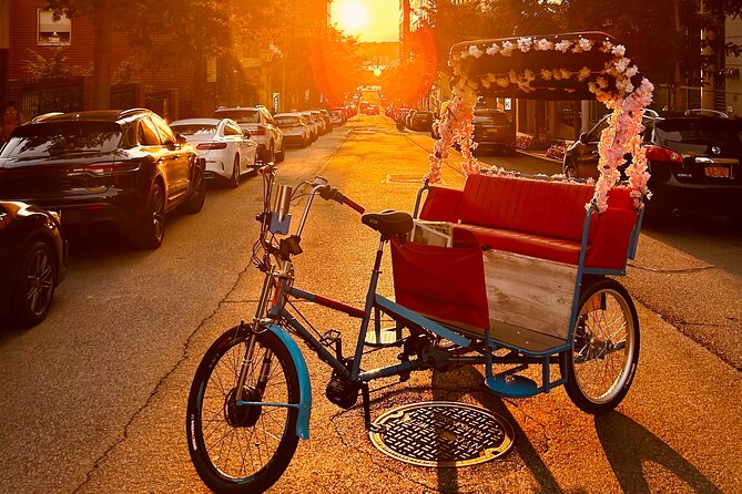 Central Park Pedicab Tour - Tour Details