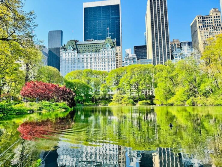Central Park Pedicab Tour / Photo Stops - Experience and Itinerary