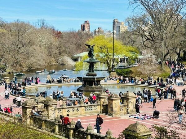 Central Park Pedicab Tour / Photo Stops - Frequently Asked Questions