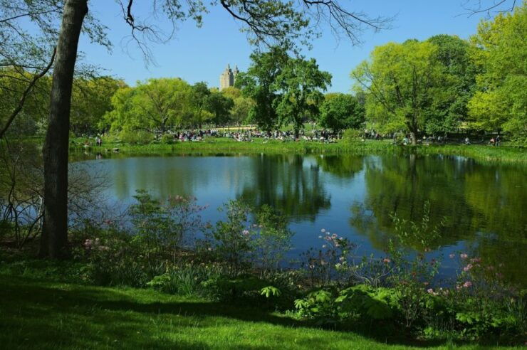 Central Park Photo Safari - Experience Highlights