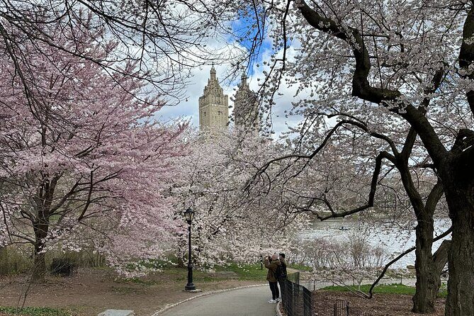 Central Park Private Pedicab Guided Tours - Who Will Love This Tour?