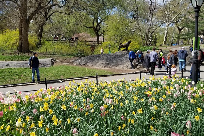 Central Park Secrets And Highlights - Accessible End Point and Transportation Options