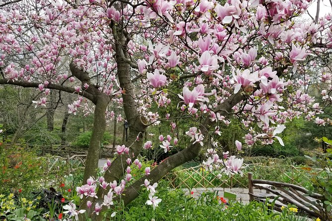 Central Park Secrets And Highlights - Cancellation Policy and Weather Considerations