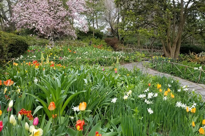 Central Park Secrets And Highlights - The Sum Up