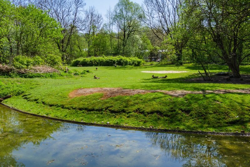 Central Park Self-Guided Audio Tour in New York - At a glance: what you’re buying