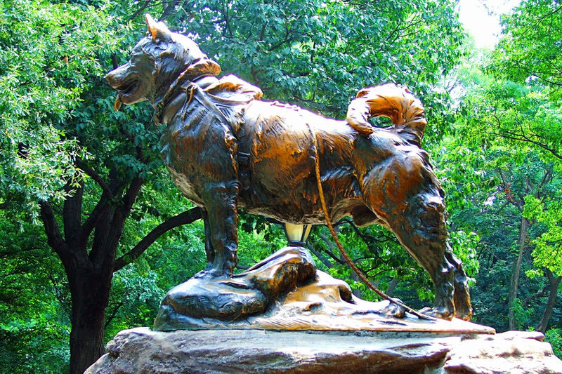 Central Park Self-Guided Audio Tour in New York - A park walk with stories, not a fixed schedule
