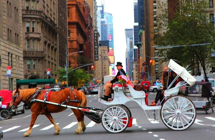 Central Park: Short Horse Carriage Ride (Up to 4 Adults) - Booking and Cancellation Policy