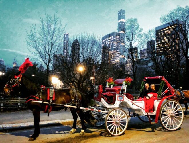 Central Park: Short Horse Carriage Ride (Up to 4 Adults) - Full Description