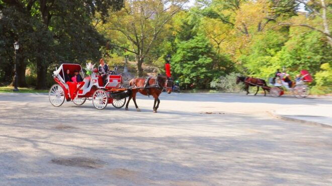 Central Park: Short Horse Carriage Ride (Up to 4 Adults) - Smoking Policy