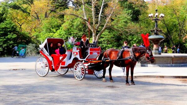 Central Park: Short Horse Carriage Ride (Up to 4 Adults) - Common Questions