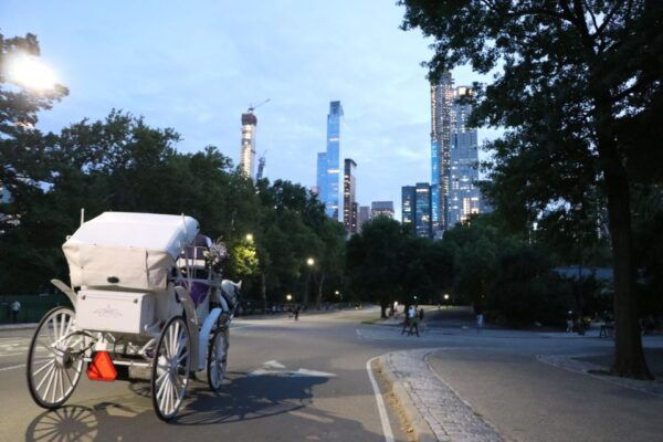 Central Park: Short Horse Carriage Ride (Up to 4 Adults) - The Sum Up