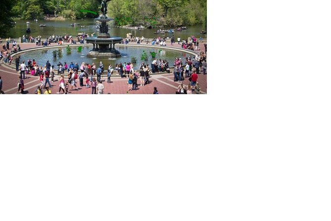 Central Park Walking Tour 2 Hour, South Loop - Itinerary Details