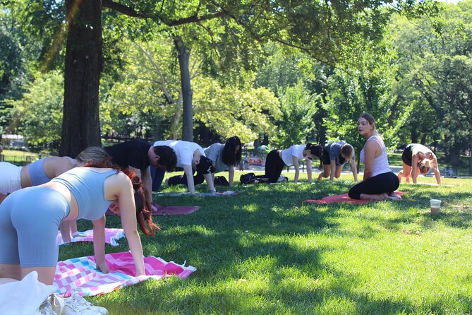 Central Park Yoga Class With a View in the Heart of New York City - Meeting and Pickup