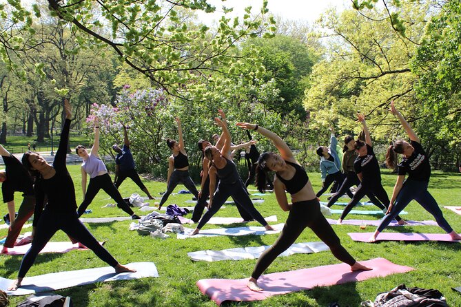 Central Park Yoga Class With a View in the Heart of New York City - Additional Info