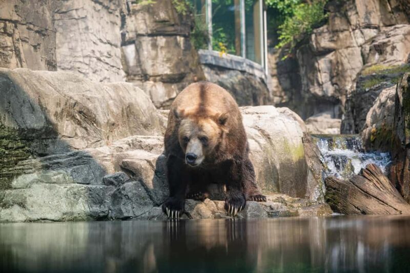 Central Park Zoo Entry Ticket - Good To Know