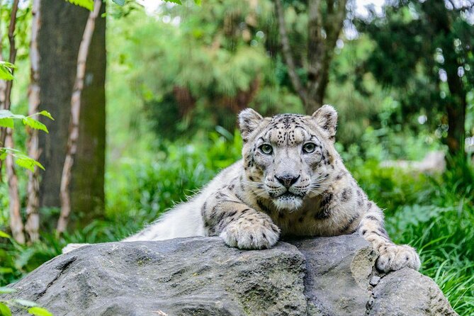 Central Park Zoo Skip the Line Tickets and Private Transfers - Booking Details and Tour Duration