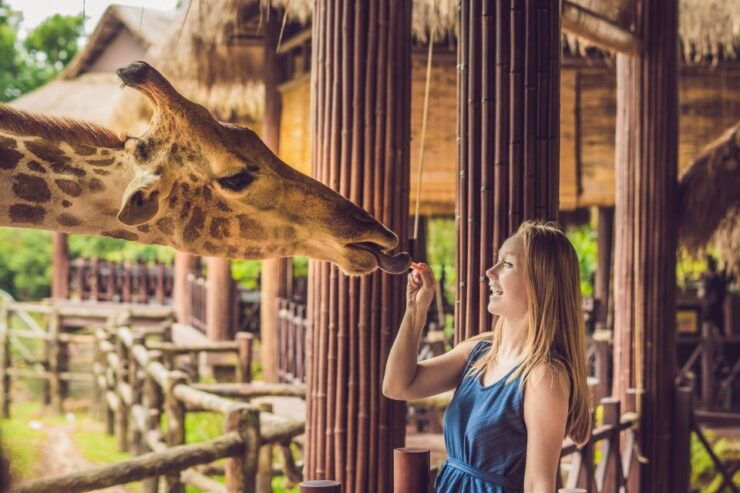 Central Park Zoo Skip-the-line Tickets & Private Transfers - Cancellation and Flexibility