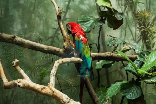 Central Park Zoo Skip-the-line Tickets & Private Transfers - The Sum Up
