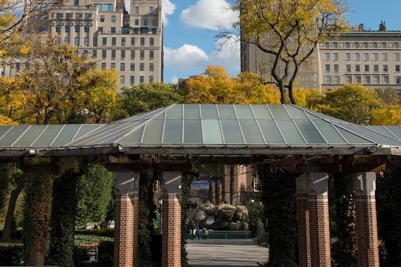 Central Park Zoo Ticket in New York City - Sea lions, penguins, and the best times to pause
