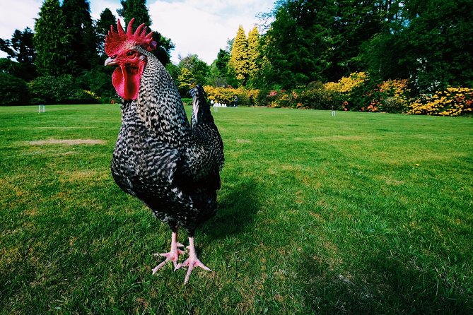 Central Scotland Driving Tour - Stirlingshire (Private) - Pricing and Booking Details